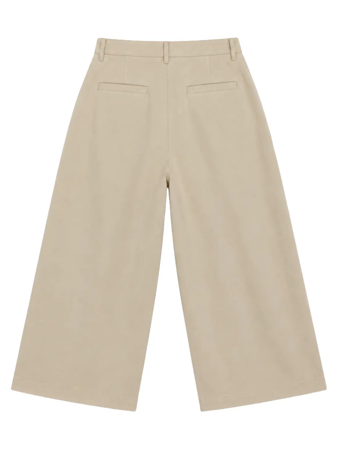 Pleated Wide-Leg Trousers — Beige - Jasper