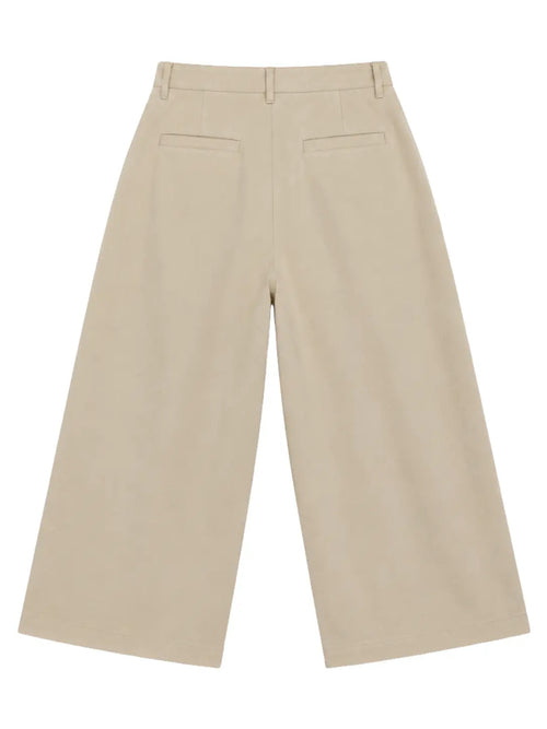 Pleated Wide-Leg Trousers — Beige - Jasper