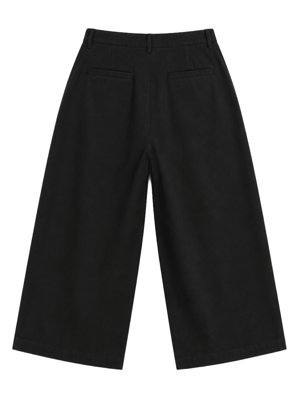 Pleated Wide-Leg Trousers — Black - Jasper