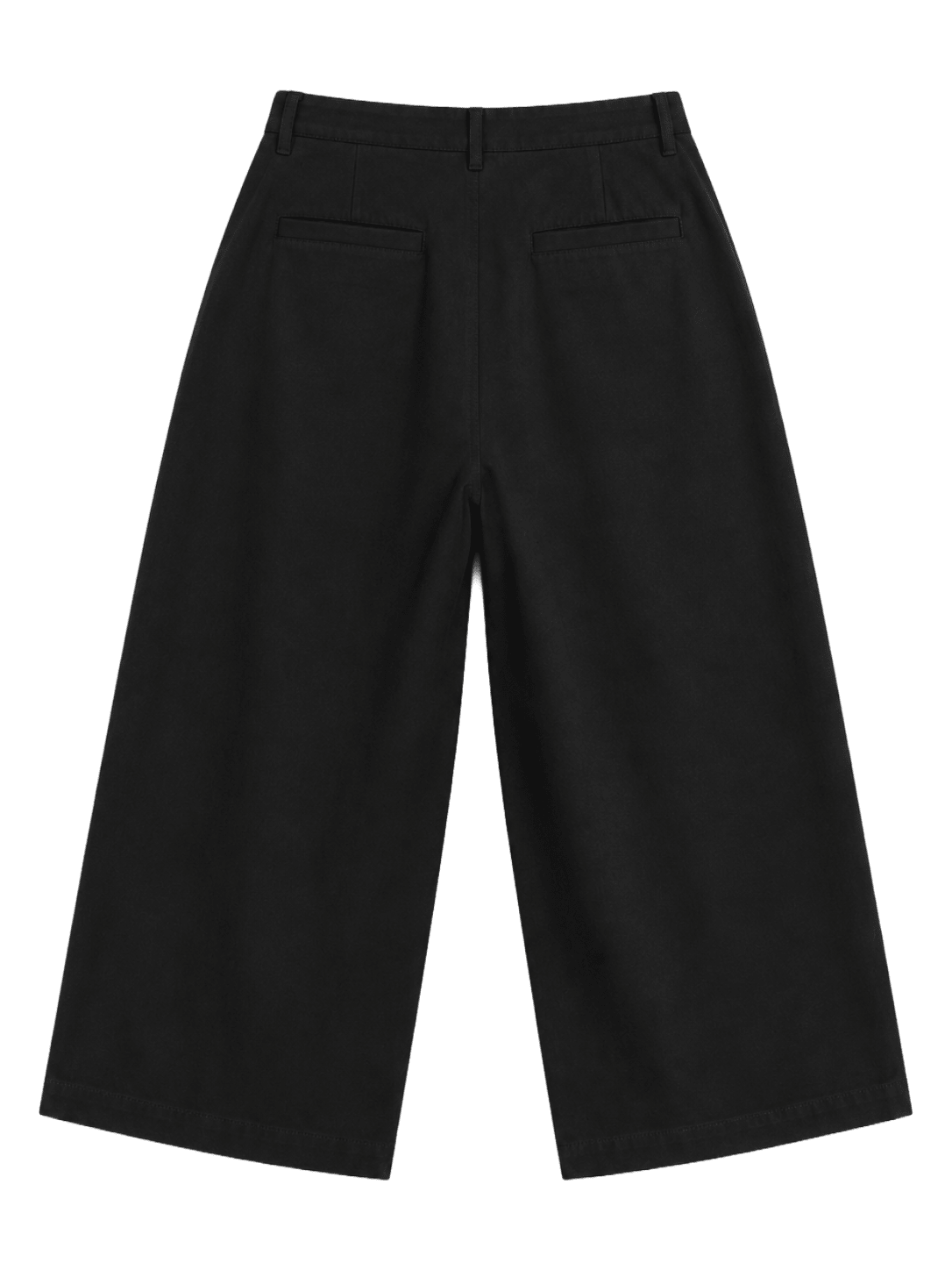 Pleated Wide-Leg Trousers — Black - Jasper
