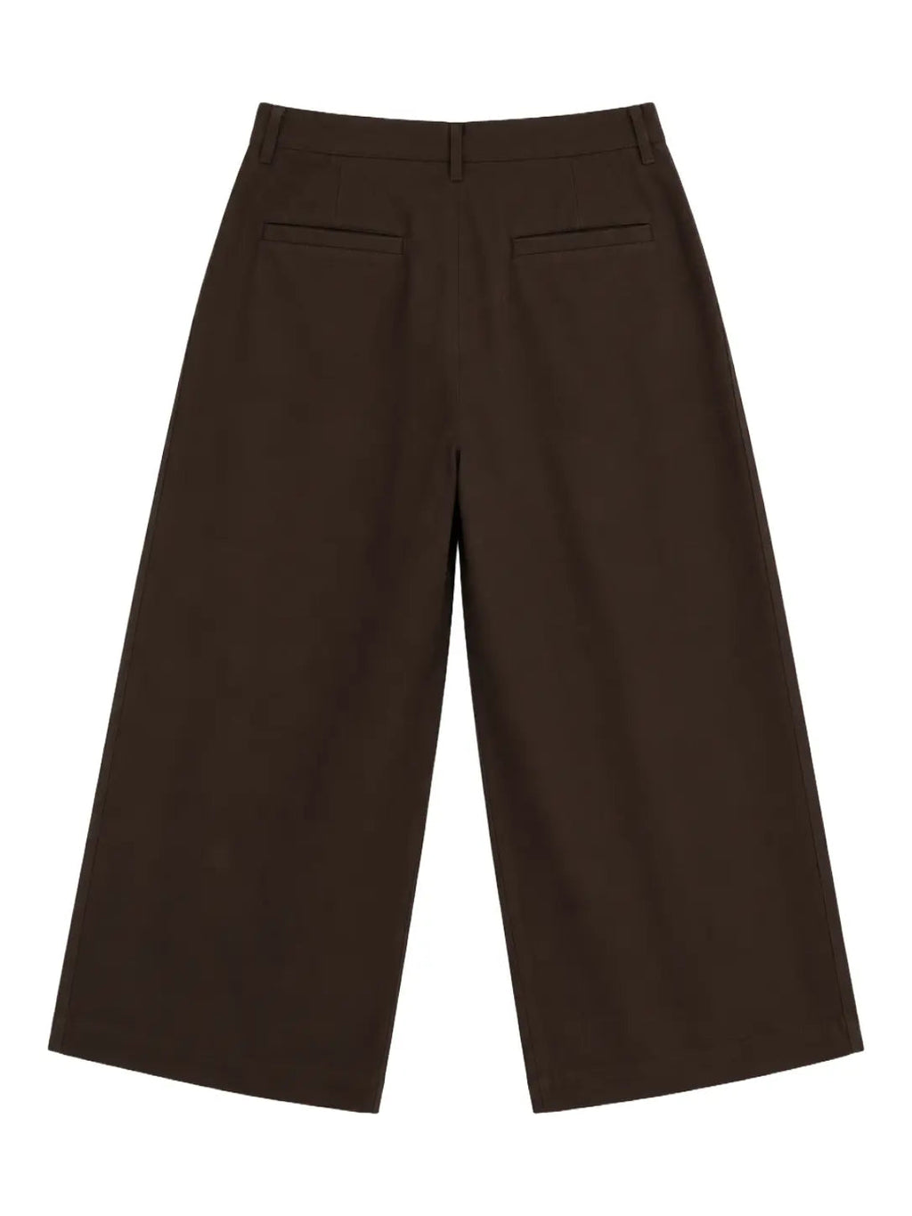 Pleated Wide-Leg Trousers — Brown - Jasper
