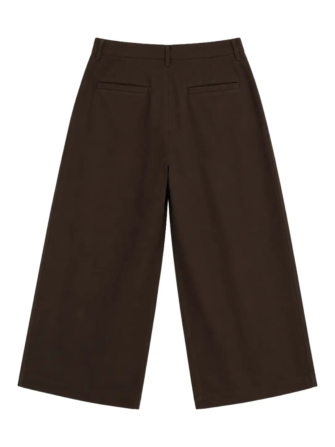 Pleated Wide-Leg Trousers — Brown - Jasper