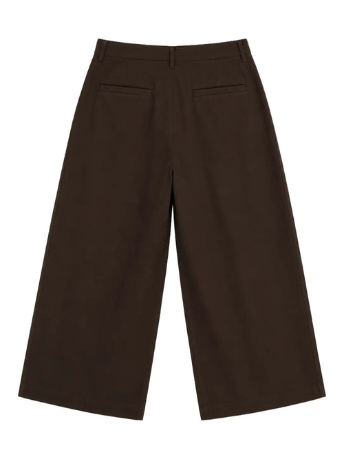 Pleated Wide-Leg Trousers — Brown - Jasper