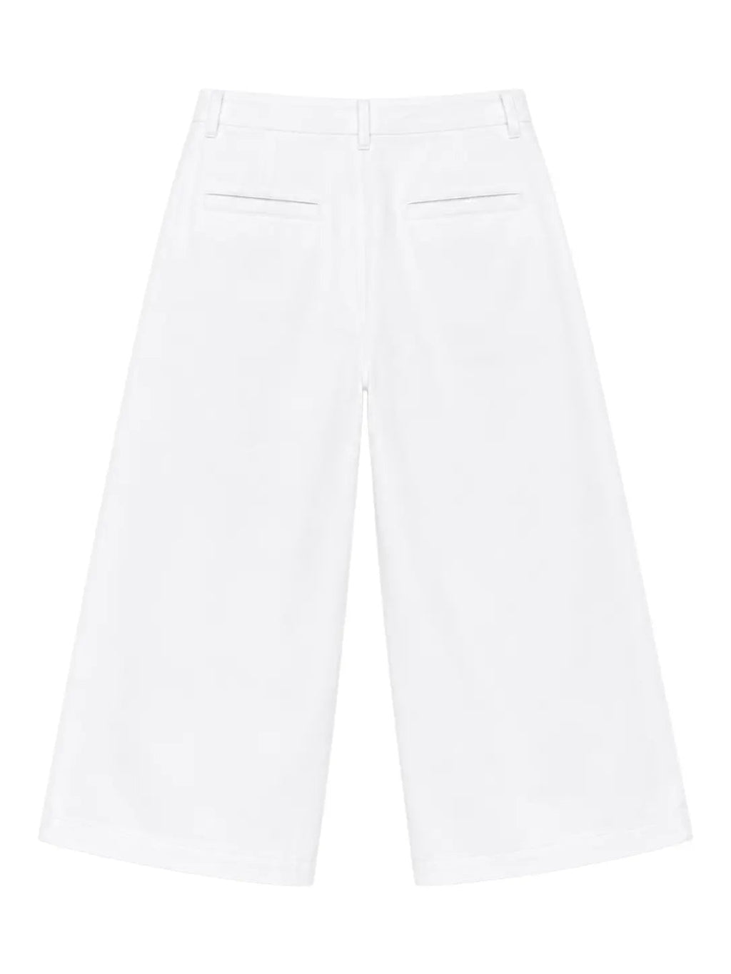 Pleated Wide-Leg Trousers — White - Jasper